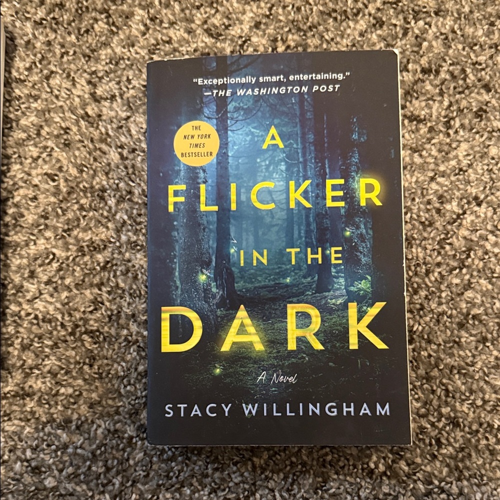 A Flicker in the Dark Book